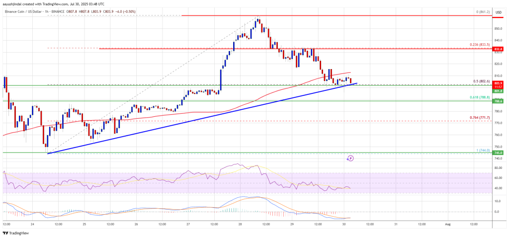 BNB Price Corrects Gains After Strong Rally – Is It Just a Healthy Pullback?