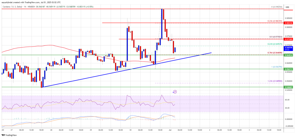 Cardano Price