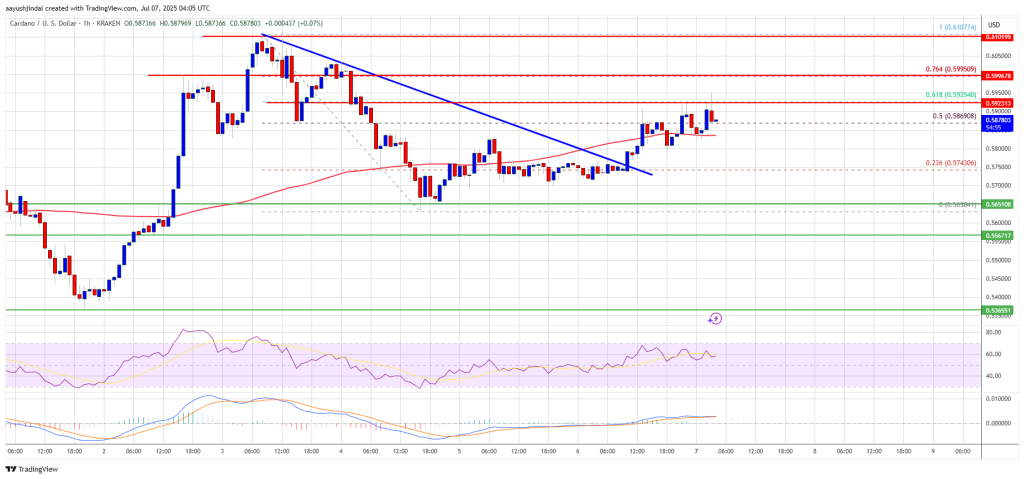 Cardano Price