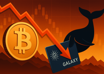Bitcoin price whale news
