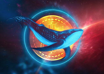 Trucjes die crypto whales gebruiken om retail te manipuleren - hoe ben je ze voor?