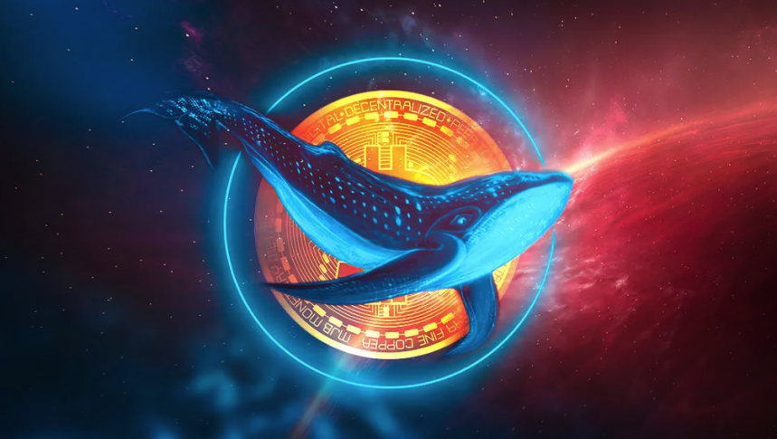 Trucjes die crypto whales gebruiken om retail te manipuleren - hoe ben je ze voor?