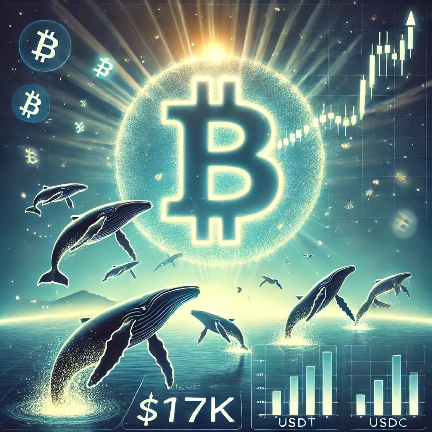 Bitcoin Trades Above $117K as Whale Deposits Decline and Stablecoin Inflows Rise