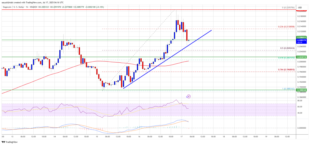 Dogecoin Price