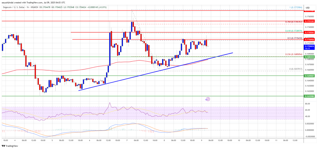 Dogecoin Price