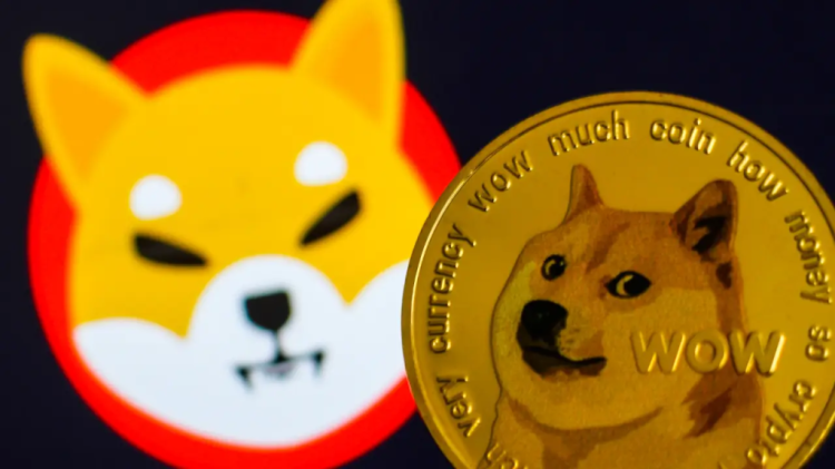 Shiba Inu vs Doge coin