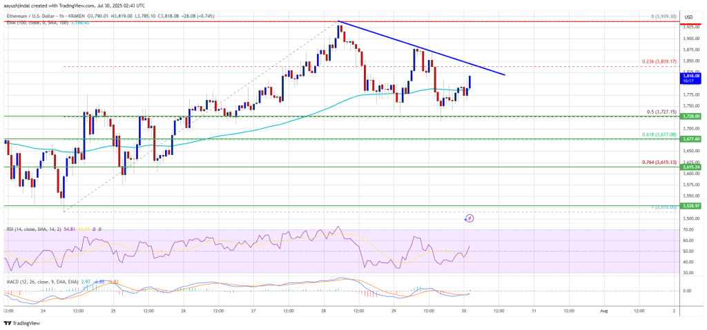 Ethereum Price Poised for a Comeback – Is Another Rally on the Horizon?