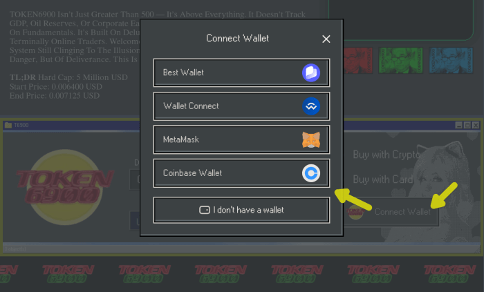 How to connect your wallet to the TOKEN6900 website.