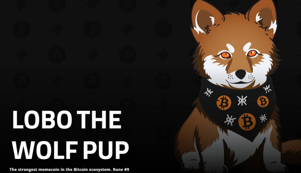 LOBO-THE-WOLF-PUP