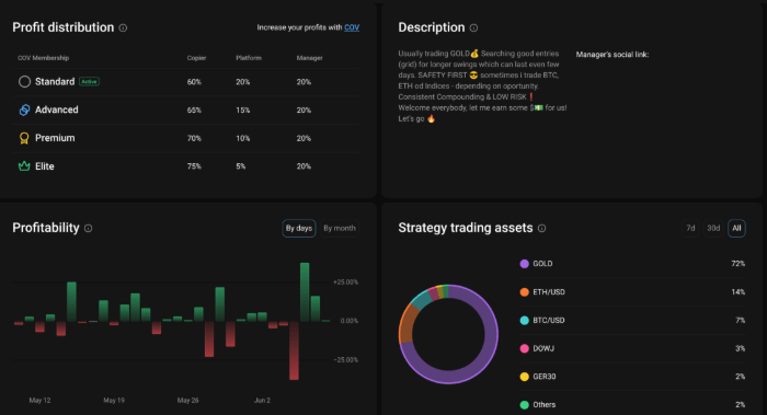 PrimeXBT profile example for trading gold.