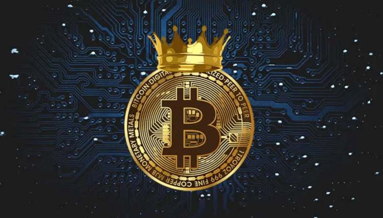 Bitcoin long-term investors bezitten nu 80% van alle BTC – kan dit de BTC koers omhoog stuwen?