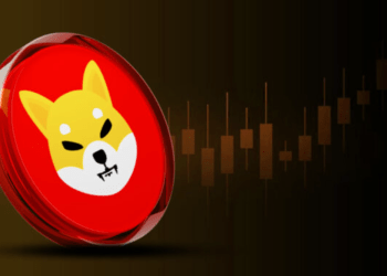 Cum Cumpăr Shiba Inu în 2025 – Ghid Complet pentru Începători