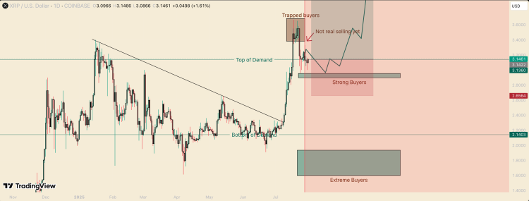 XRP Blows Cold: Price Crash To .15 Still Possible If Buyers Falter
