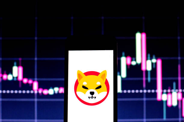Shiba Inu
