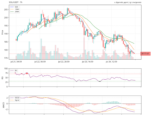 Solana In The Danger Zone – Will $175 Support Hold Or Collapse?