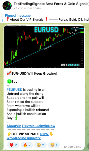 TopTradingSignals Telegram channel.