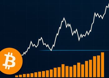 Bitcoin Demand Builds at $117K: Cost Basis Distribution Defines Key Support Level