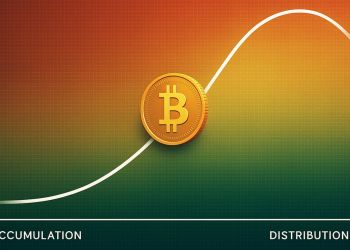Bitcoin Heat Macro Phase Signals Market Sits Between Accumulation And Distribution