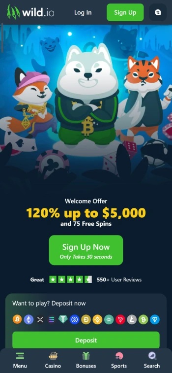 Wild.io - Terbaik untuk Turnamen Slot Kripto