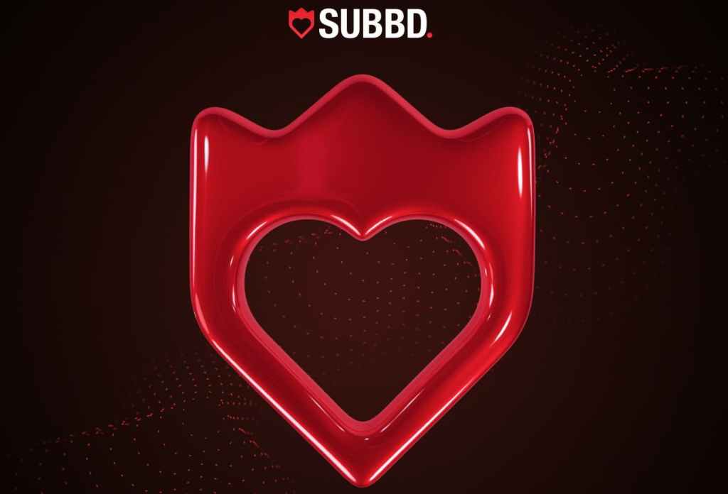 SUBBDとは何か、なぜ投資家がこれほど注目するのか