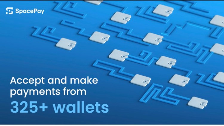 Why SpacePay Is Tipped to Be the Favorite Crypto Coin of 2025