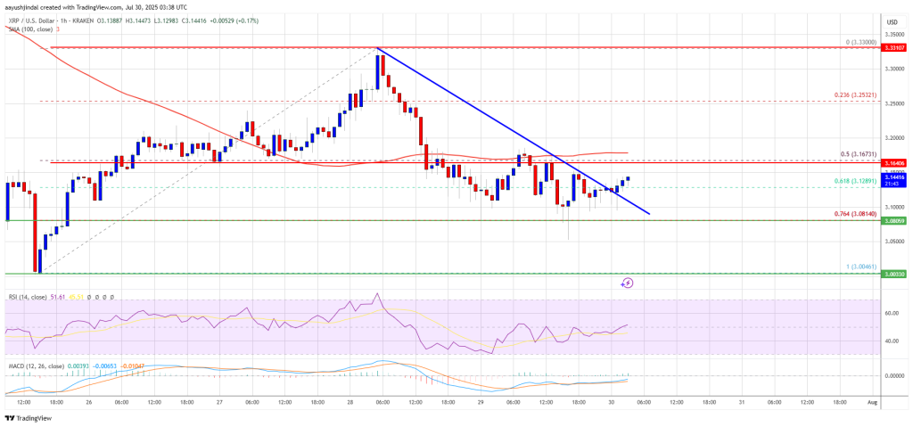 XRP Price Starts Recovery Move – Will It Lead to a Bullish Reversal?