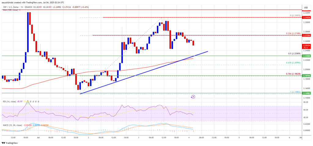 XRP Price Prepares for Possible Bounce — Support Levels In Focus