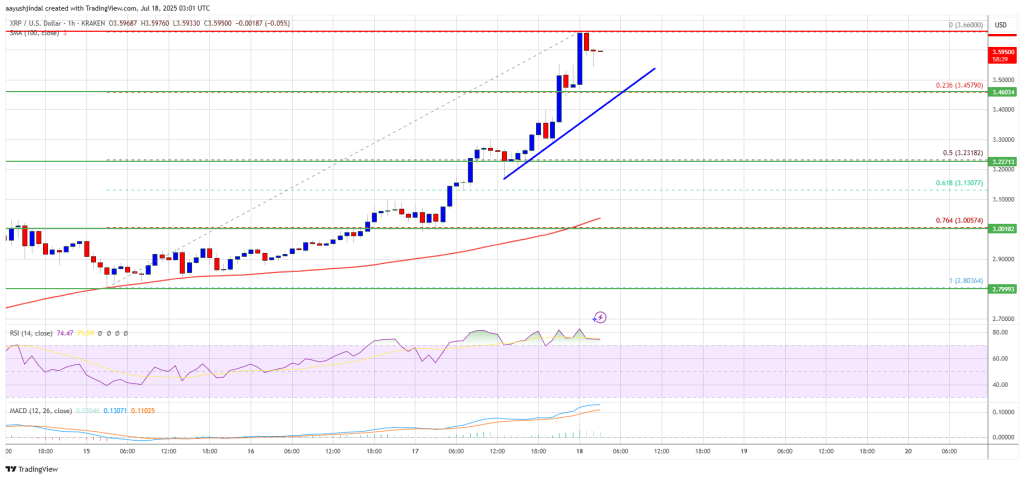 XRP Price Skyrockets