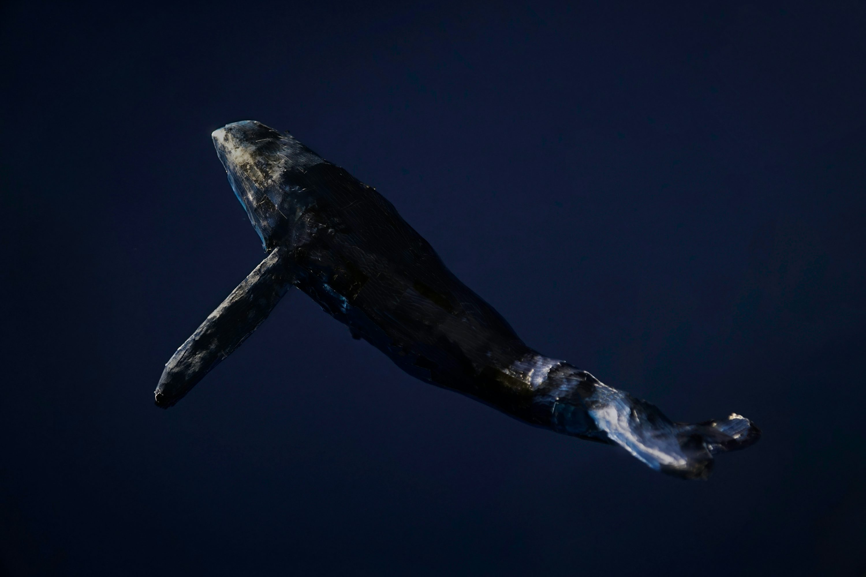 Dormant Whale Sells $80,000 BTC, But Bitcoin Bulls Still In Control