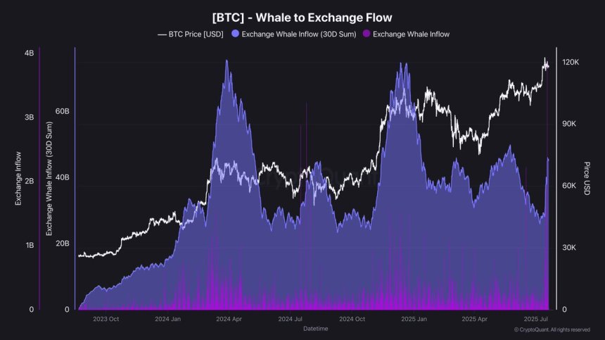 Flujo de Ballenas de Bitcoin a los Exchanges | Fuente: Darkfost en X
