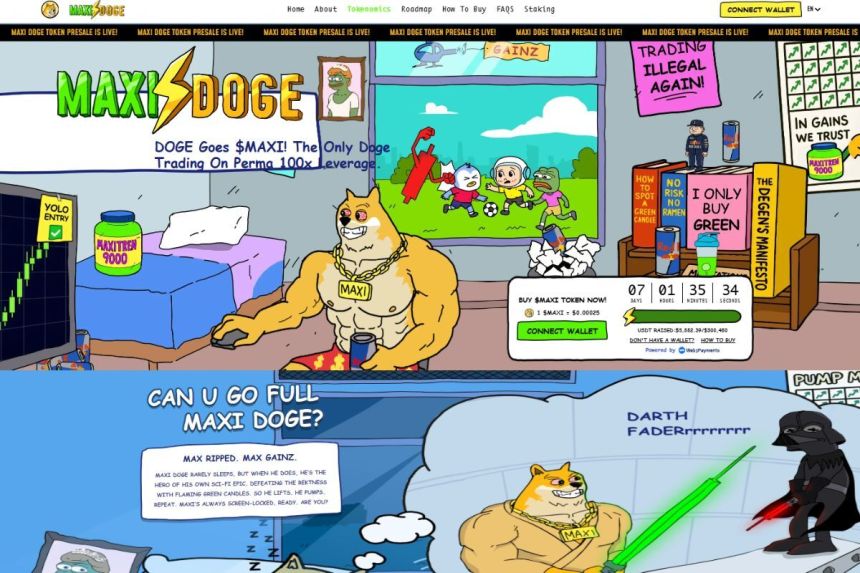 maxi doge