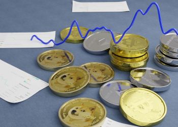 meme coins token