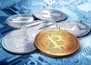 Čo Kupujú Krypto Paviány po Úspešnom Týždni pre Krypto v USA