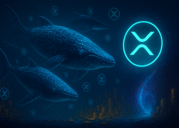 XRP Whales