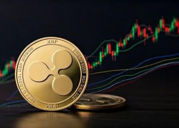 XRP utility debat gaat viral - Ripple CTO onthult waarom XRP koers kan verdubbelen