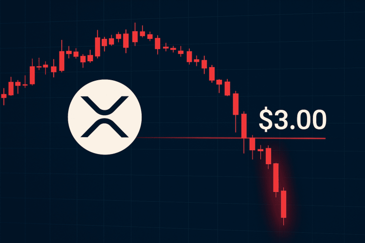 XRP prijs daalt onder $3 – is $2 het volgende stopniveau?