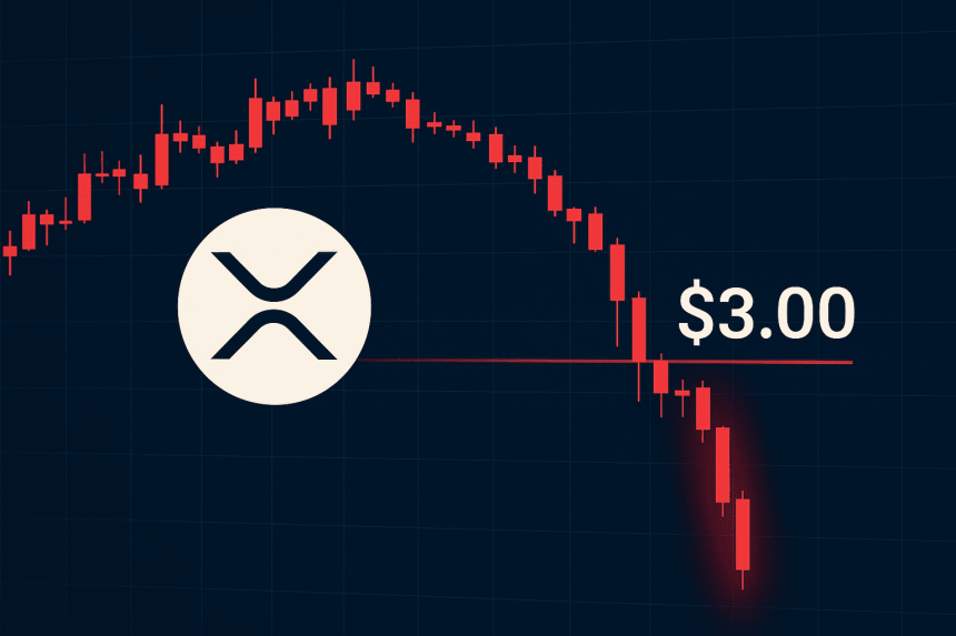 XRP prijs daalt onder $3 – is $2 het volgende stopniveau?