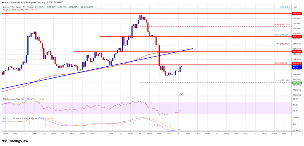 Bitcoin Value Slides 4% After Robust Rally – Correction or Pause?