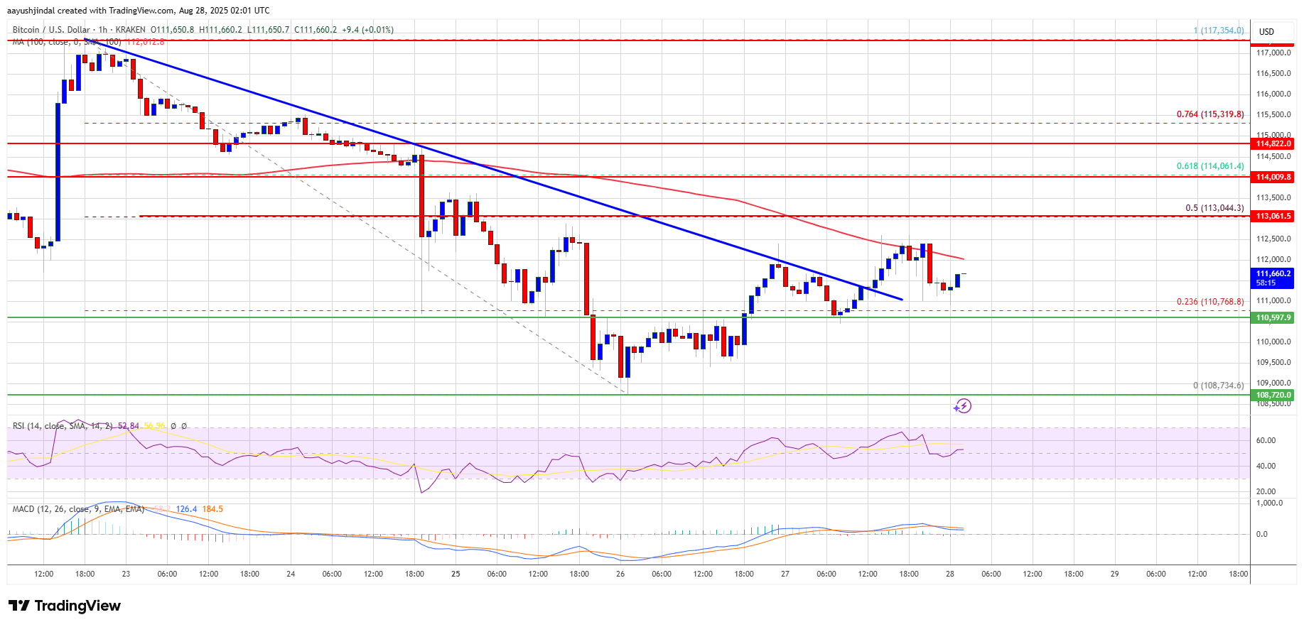 Bitcoin Chart: A Rollercoaster of Emotions
