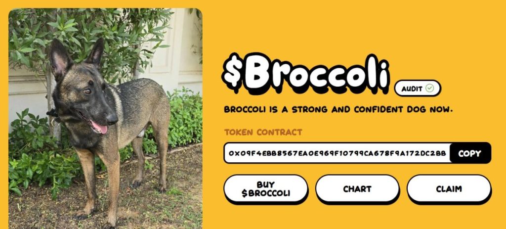 Broccoli ($BCL) とは？
