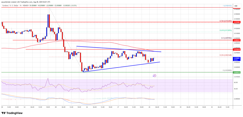 Cardano Price 
