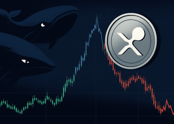 XRP whale news