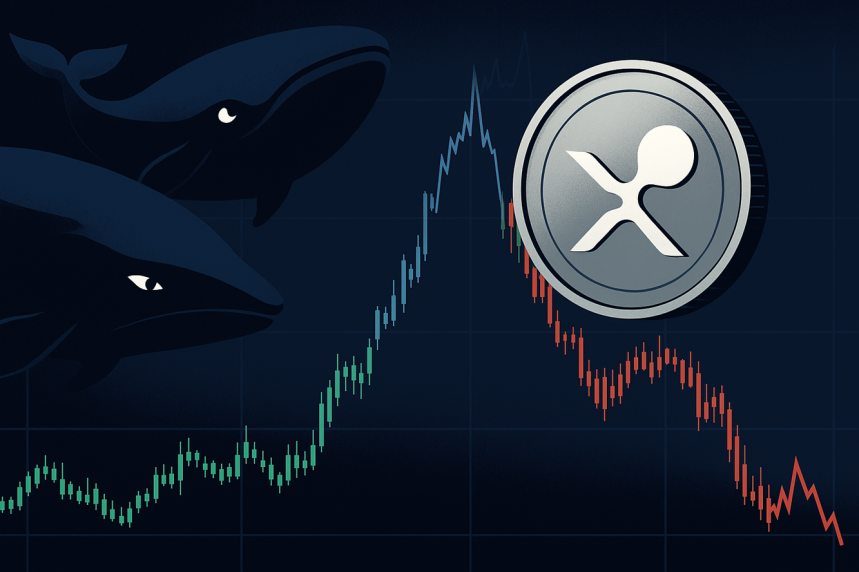 XRP whale news