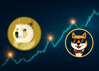 Dogecoin Maxidoge