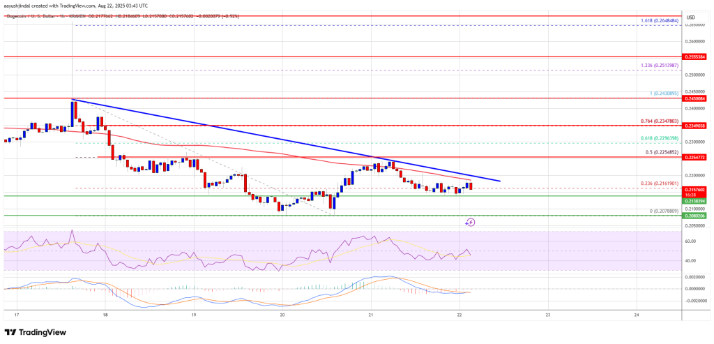 Dogecoin (DOGE) Slips Into Crimson Zone, Is a Greater Crash Looming?
