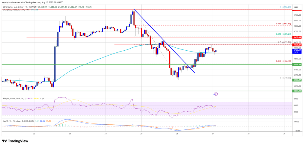 Ethereum Price 