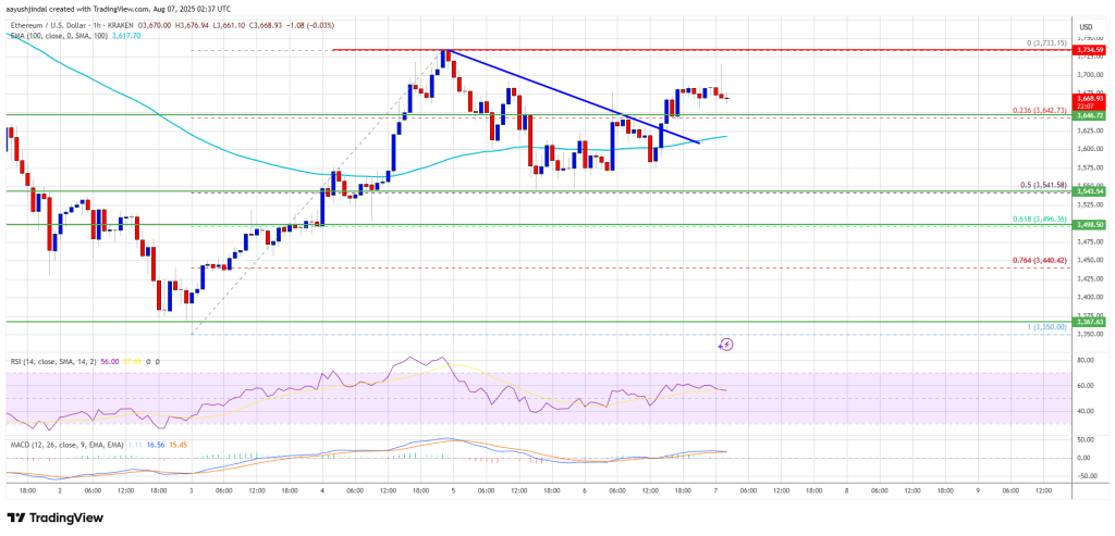Ethereum Price