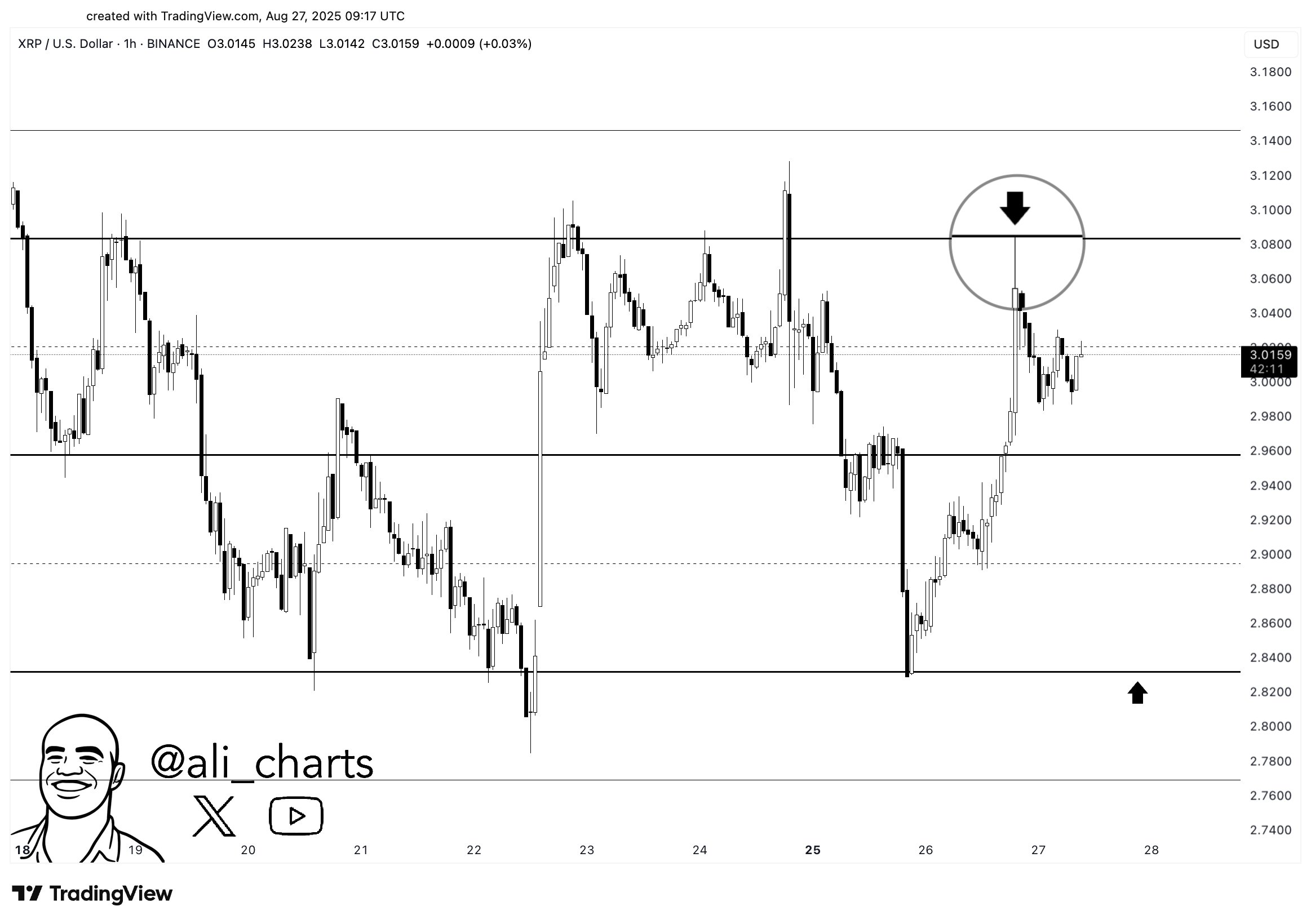 XRP Chart Analysis