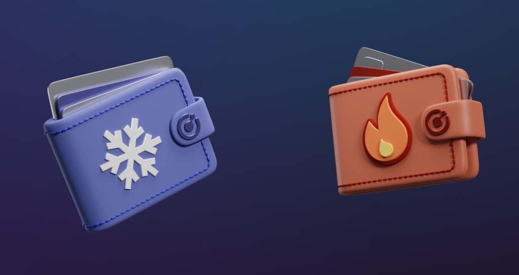 “Hot wallet” və “Cold wallet” arasındakı fərqlər