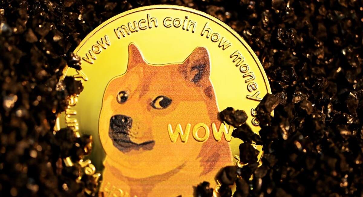 Introducción a Shiba Inu y su popularidad